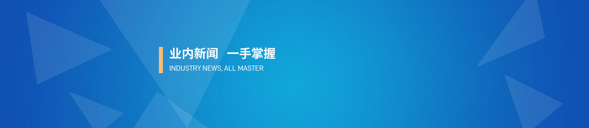 武汉桥式尊龙网站（中国）科技有限公司